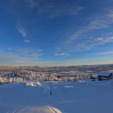 Toppvillan - Ski In - Ski Out - 200 M Till Toppen Och Cykelleder Järvsö Buitenkant foto